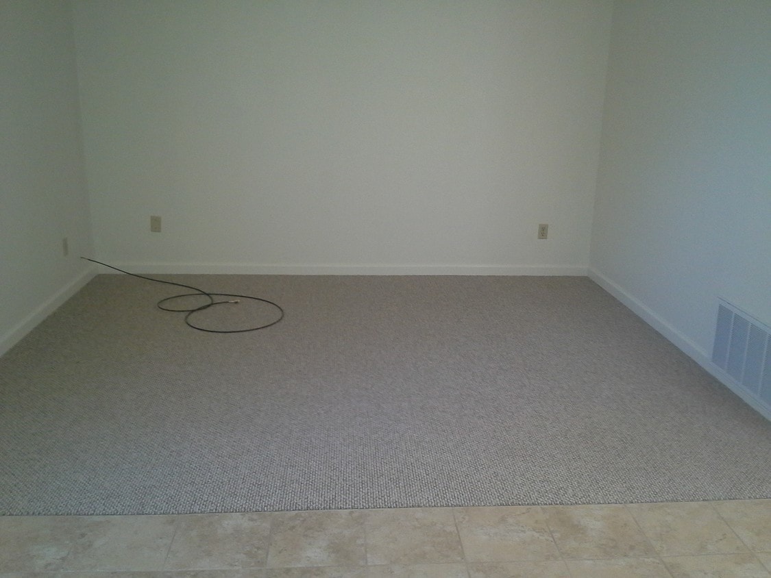 Living Room - 753 Rozier St