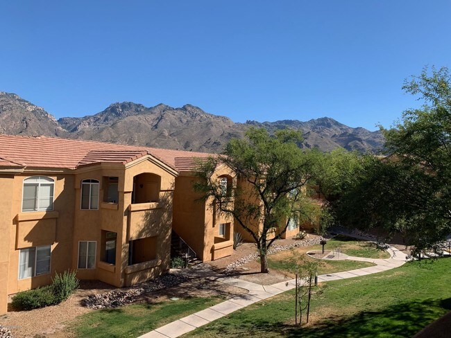 Foto del edificio - 7050 E Sunrise Dr