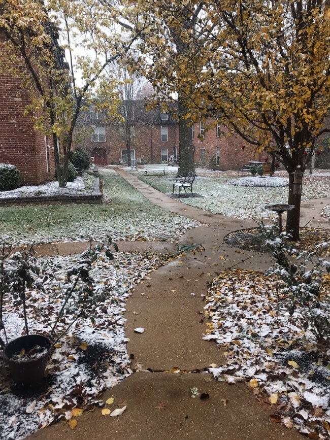 Foto del edificio - 11546 Concord Village Ave