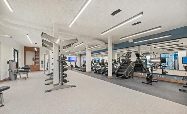 Club-quality fitness studio with TRX station and spin bikes. - Modera Newton