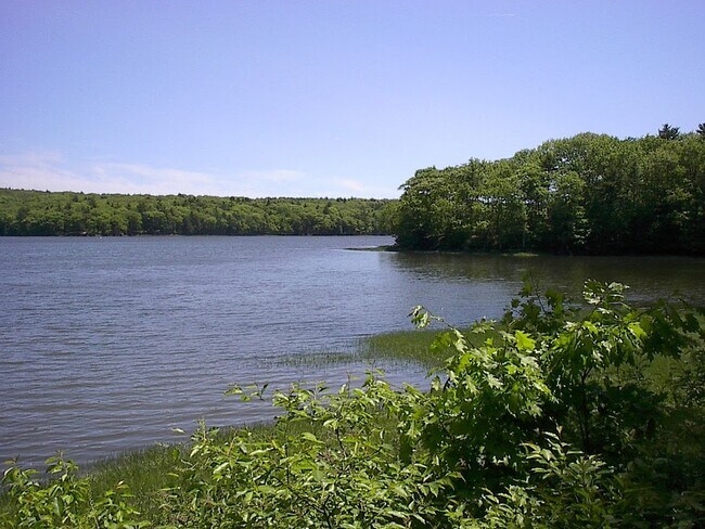 Foto del edificio - 61 Birch Island Ln