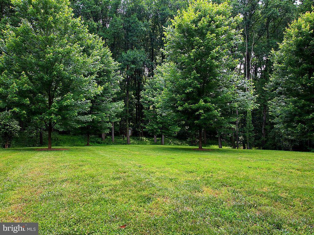 Primary Photo - 1103 Dapple Grey Ct