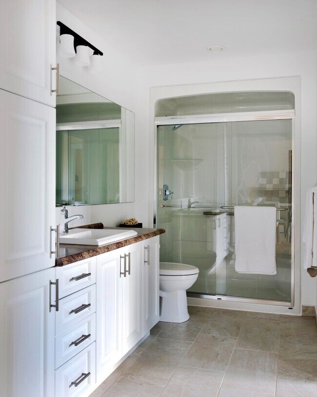 1 Bedroom + Office with Terrace Lepine A... Apartment for Rent in