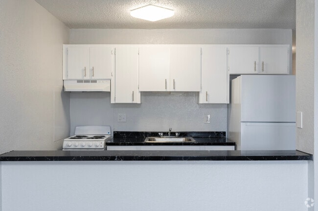 1BR, 1BA - 600SF - Kitchen - Springwood Villas