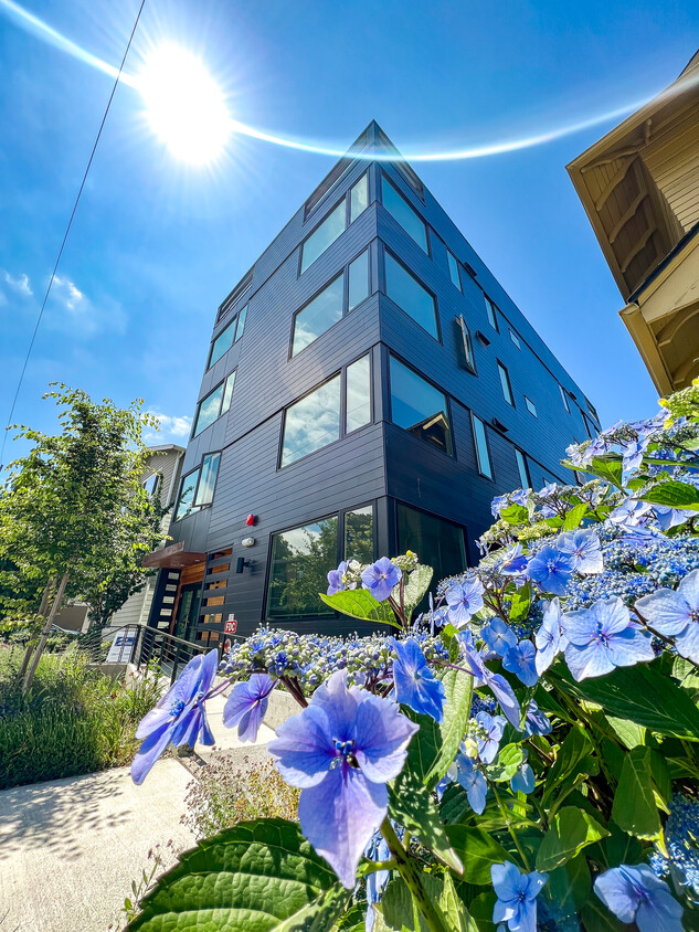 Foto principal - University Flats