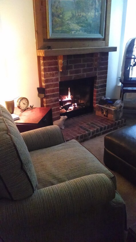 Fireplace - 2286 Turtle Creek Dr
