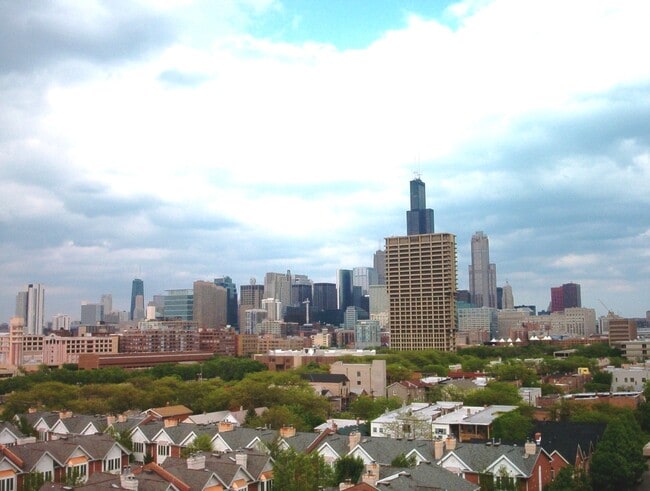 Large Roof-top deck with terrific skyline views - 811 S Lytle St
