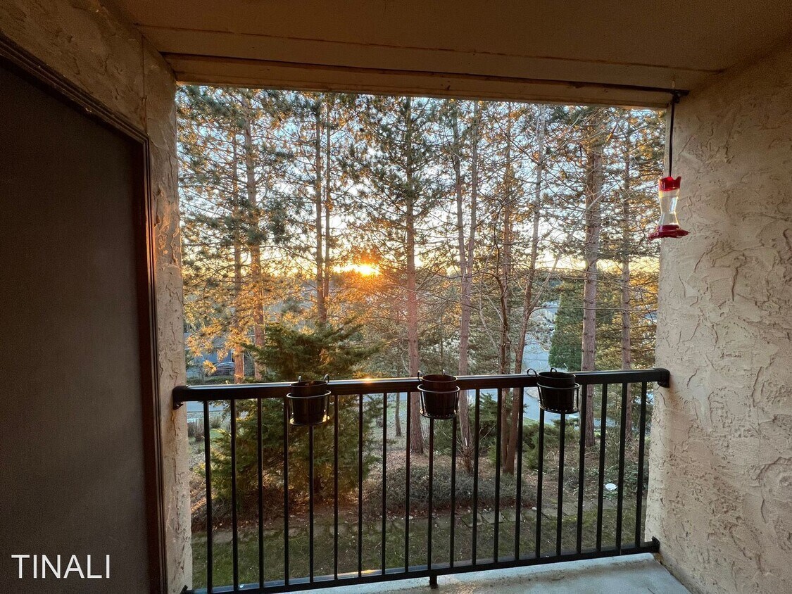 1 br, 1 bath House - 14447 127th Lane NE ... - 1 br, 1 bath House - 14447 127th Lane NE  ...