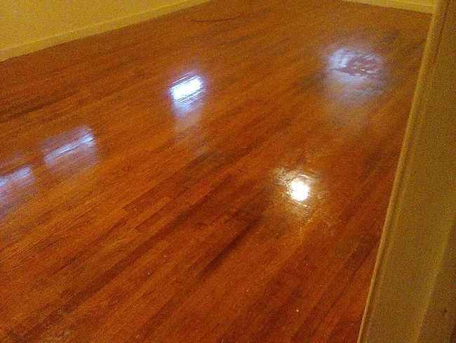 Photo - 1032 Capri Cir House