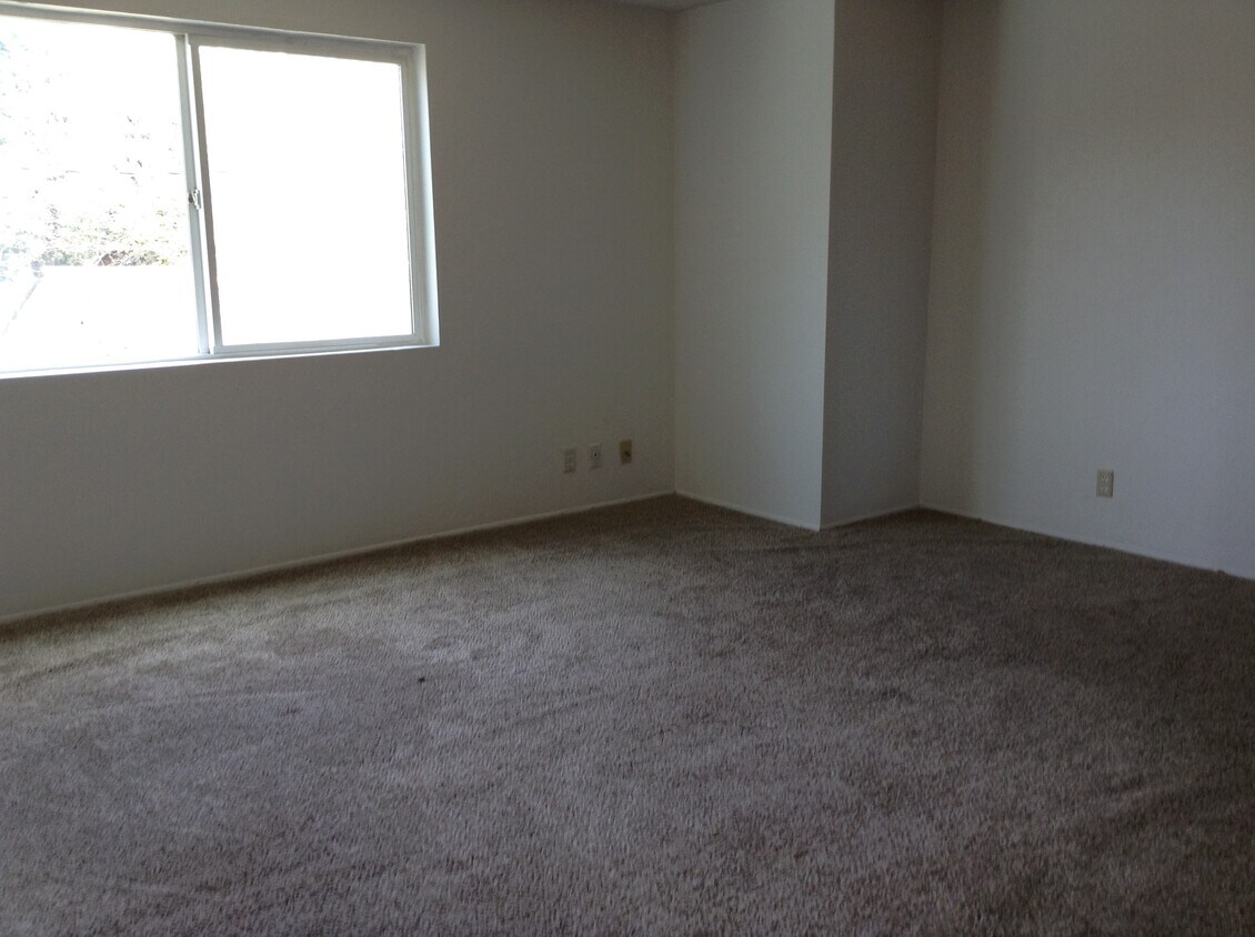 Foto principal - 494 Wilkie St