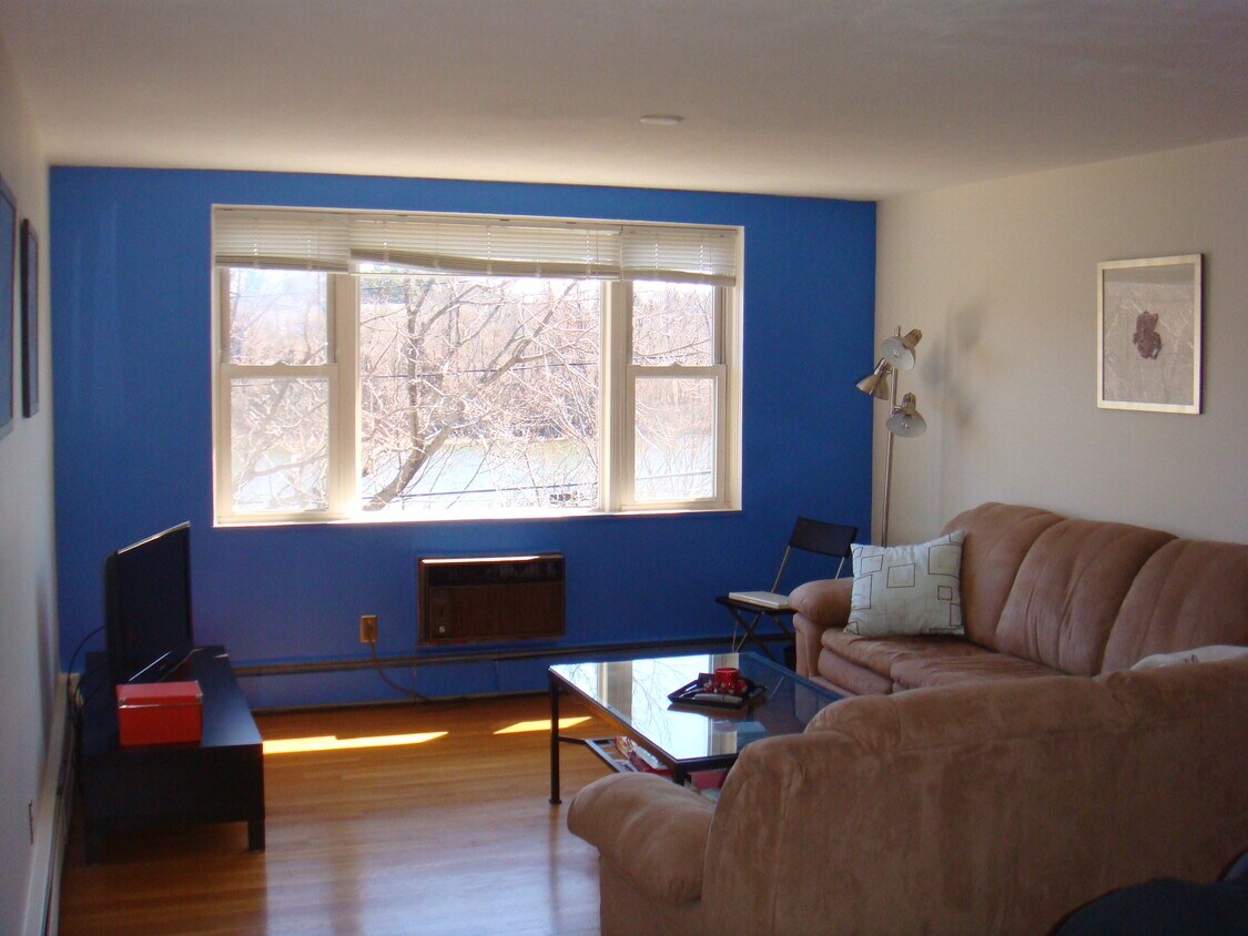 Sala de estar - 1105 Lexington St