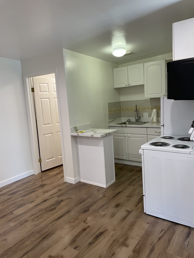 Kitchen area door to large walk in shower - 923 S Bedford St