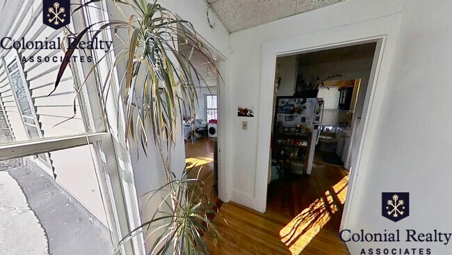 Building Photo - 153 Palfrey St
