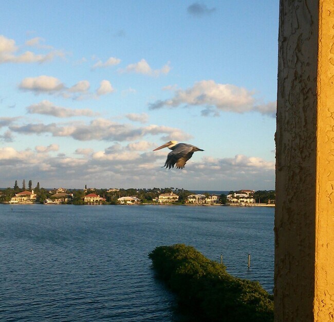 Foto del edificio - 1200 Scotia Dr
