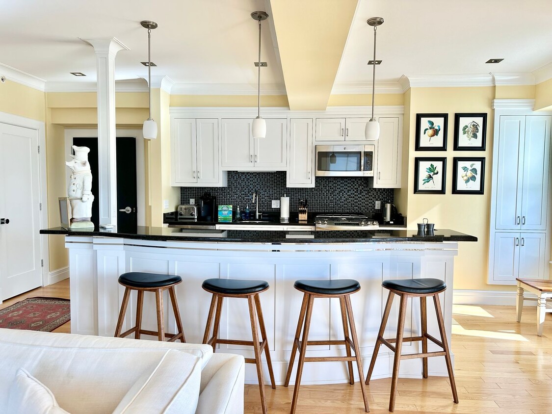 Penthouse Condo in Downtown Portland Peninsula - Penthouse Condo in Downtown Portland Peninsula