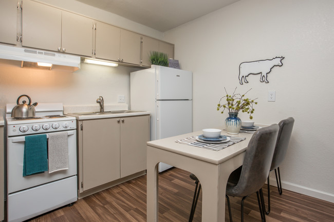 Studio Kitchen - The Standard Raintree Apartments