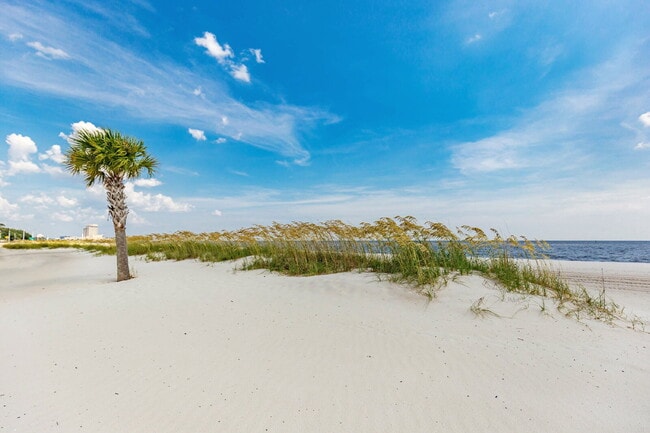 Photo - TDY Special! 1/1 fully furnished Apartment