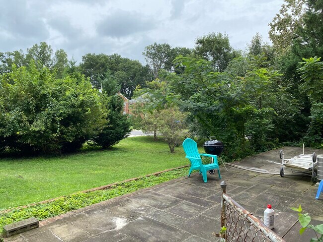 Backyard - 4207 15th St N