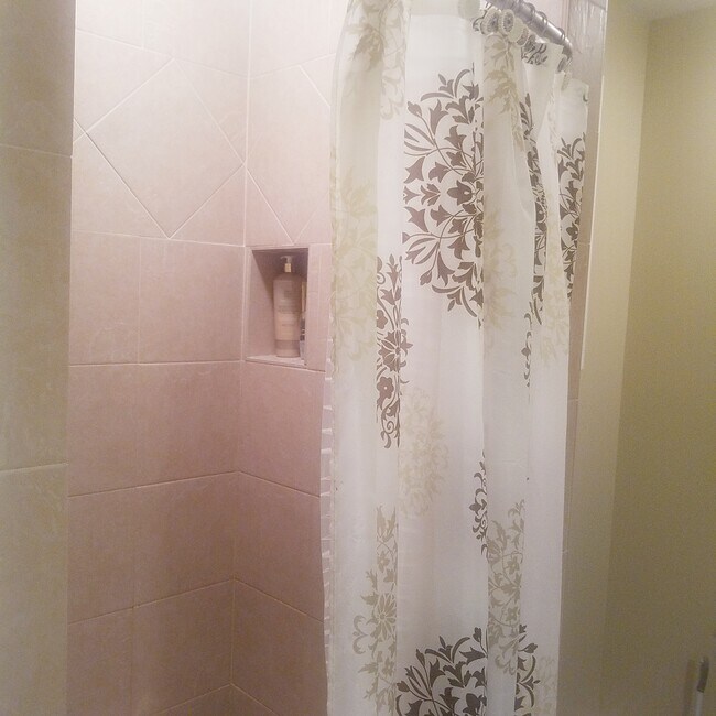 Foto del edificio - Basement - Skylar Leigh Dr