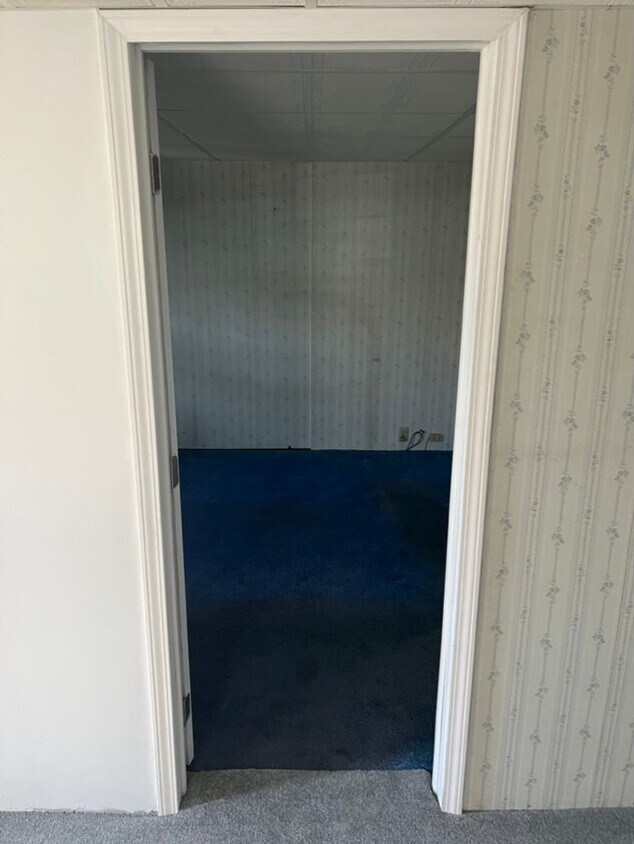 Primary Photo - Spacious and Just Renovated 3 Bed/1.5 Bath...