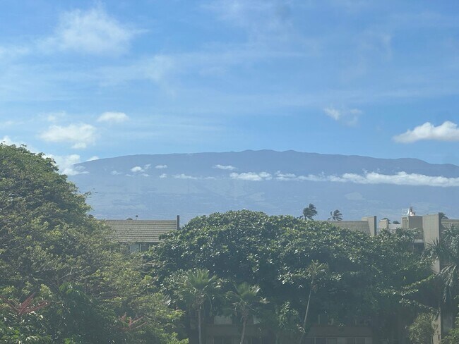 Foto del edificio - Maui Condo