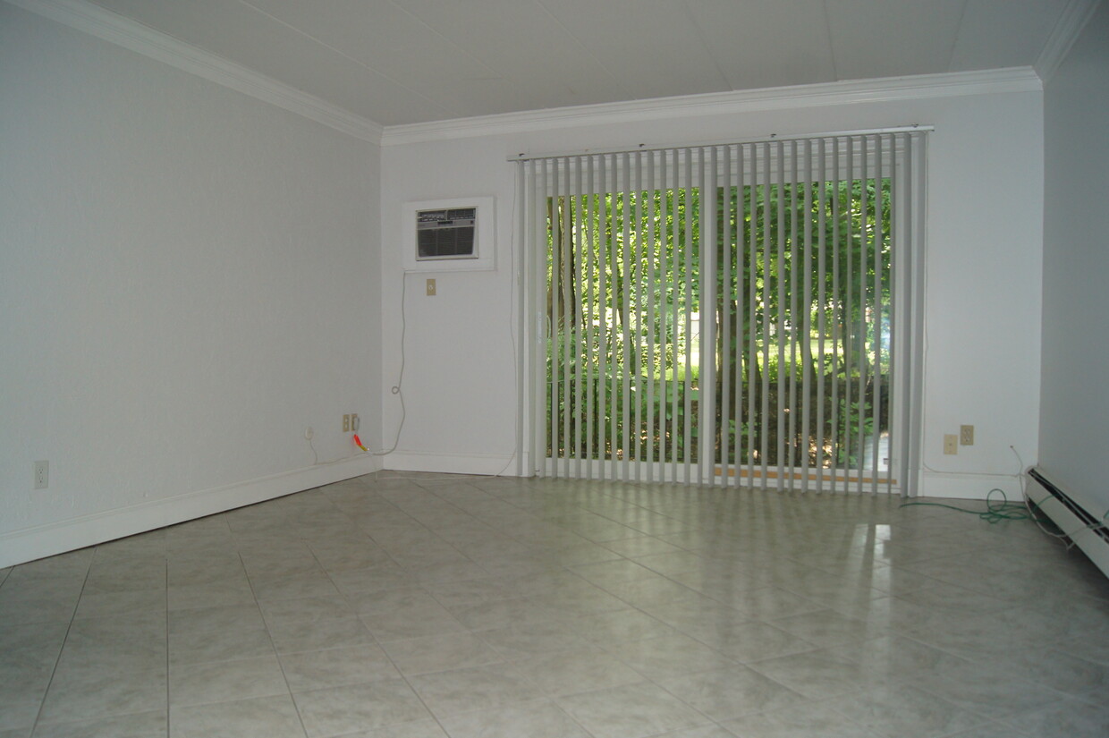 Living Room - 968 S Lincoln St