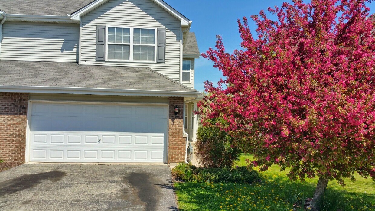 1174 Maggie Ln, Romeoville, IL 60446 Townhouse for Rent in Romeoville