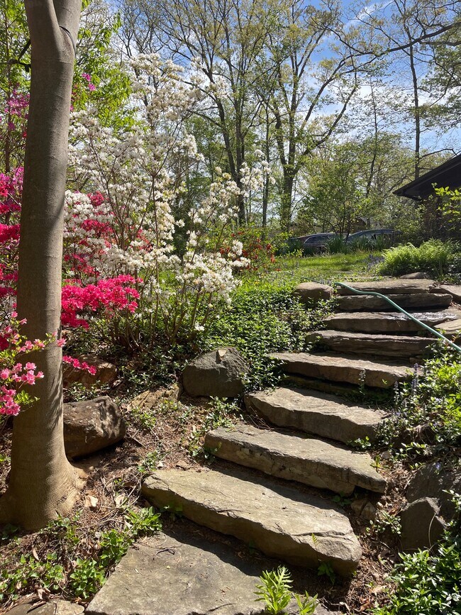 Foto del edificio - 6662 Van Winkle Dr