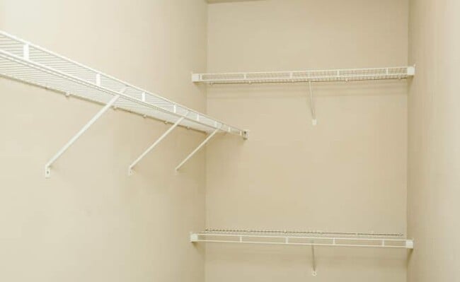 Photo - 3 bedroom in Missouri City TX 77459 Apartment