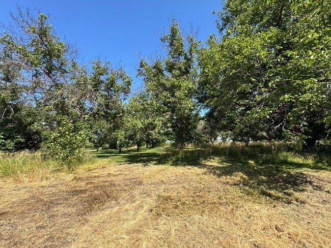 Foto del edificio - West Valley 3 bedroom country home with 3 ...