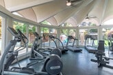 Located at 1901 Halford Ave in Santa Clara, CA, this fitness center is housed in a beautifully designed rotunda-style structure that is as visually impressive as it is functional. The space is defined by its dramatic vaulted ceiling, which fans outward in elegant arched segments supported by white ribbed beams, creating a pavilion-like atmosphere that feels open and airy. Multiple ceiling fans are integrated throughout the ceiling design, ensuring consistent airflow across the entire floor.

Floor-to-ceiling arched windows and glass doors wrap around the perimeter of the space, flooding the interior with abundant natural light and offering unobstructed views of the lush surrounding landscaping. A decorative glass block wall accent adds a unique architectural touch, diffusing soft light into one section of the room. The teal-toned rubberized flooring provides both durability and a clean, cohesive aesthetic underfoot.

The fitness center is well-equipped for a comprehensive workout, featuring treadmills, elliptical trainers, stationary and spin bikes, a multi-station cable machine, a weight bench, a dumbbell rack, and stability balls. A wall-mounted clock and bulletin board complete the practical amenities. The overall ambiance is bright, welcoming, and thoughtfully designed to inspire an energizing workout experience.
