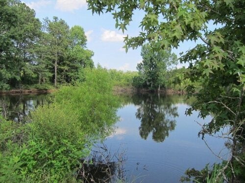Foto del edificio - 104 Trinity Pond Road