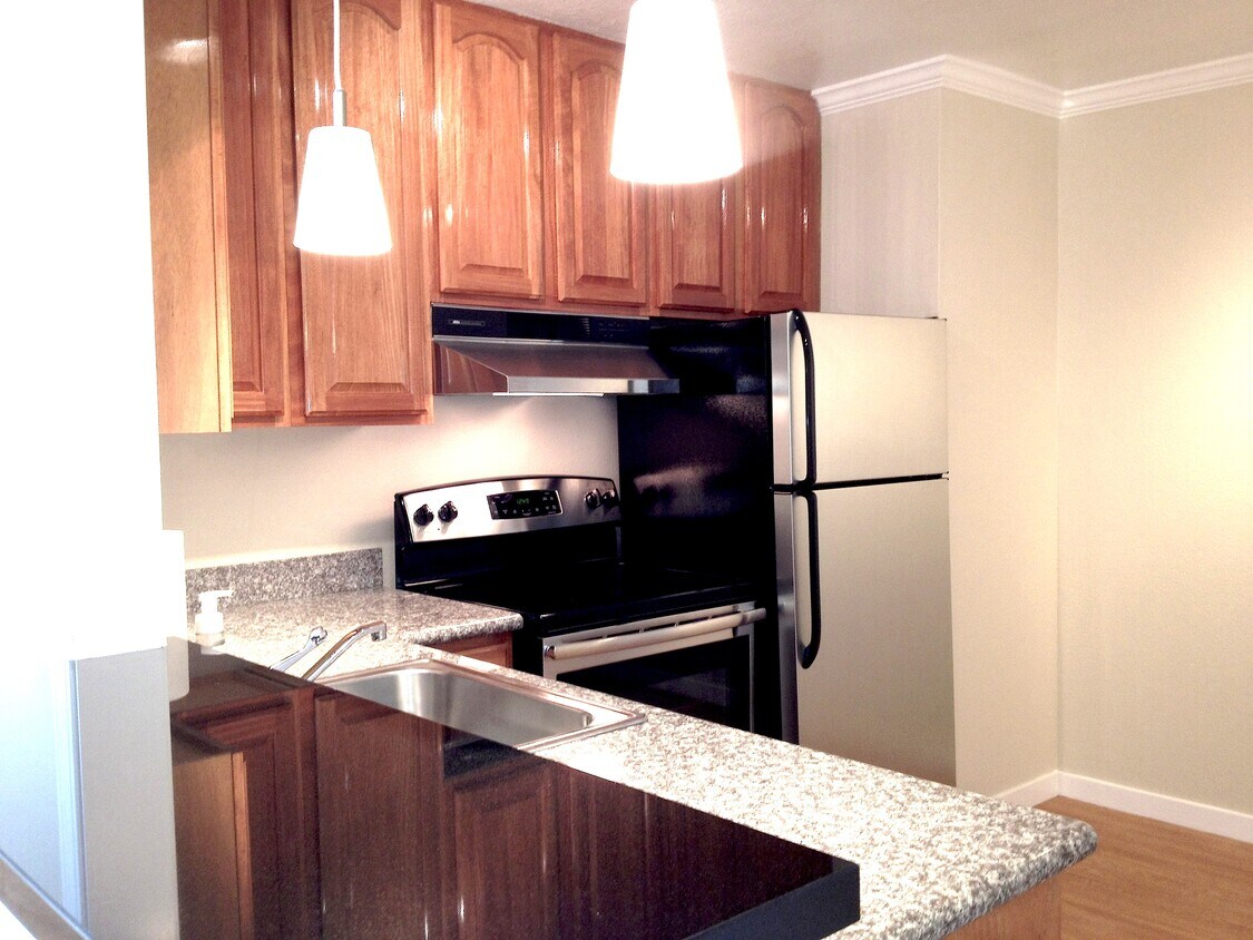Kitchen - 412 Richmond Dr