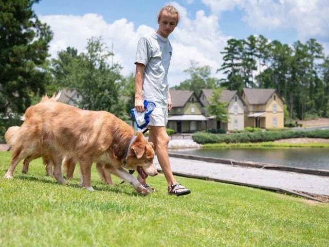 Enjoy pet-friendly outdoor spaces at The Cottages of Hattiesburg. - The Cottages of Hattiesburg