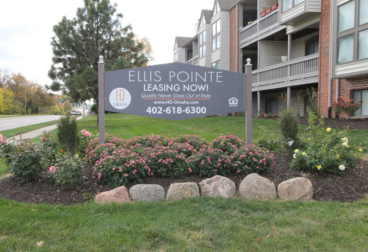 Primary Photo - Spacious studio with updates. The Ellis Po...
