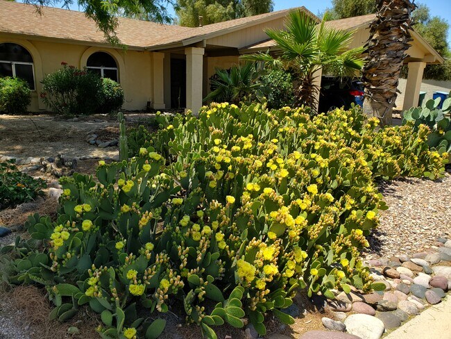 Front yard - 2821 N Essel Dr