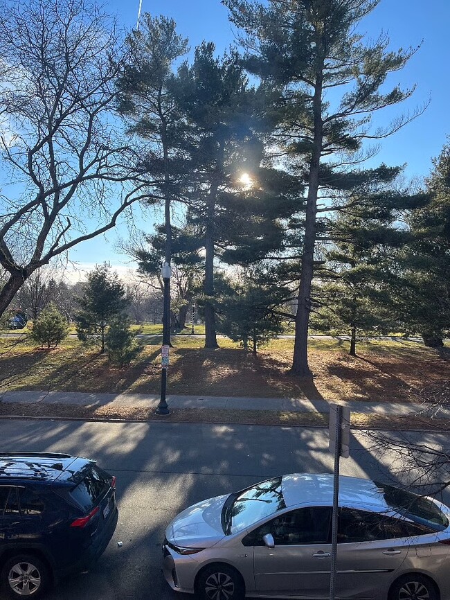 The home is facing Washington Park - 473 State St