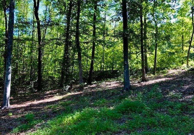 Foto del edificio - Spacious 3100 sq ft 3 bedroom 2 bath home on over 1.5 acres in Oak Ridge, NC