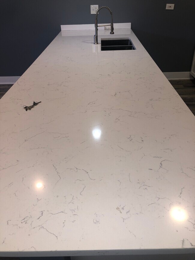 KITCHEN - 4836 S Michigan Ave