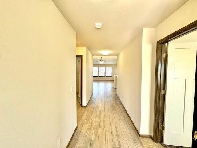 Building Photo - 223 Park Pl