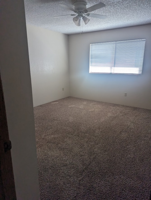 Building Photo - 1229 Burton Ct