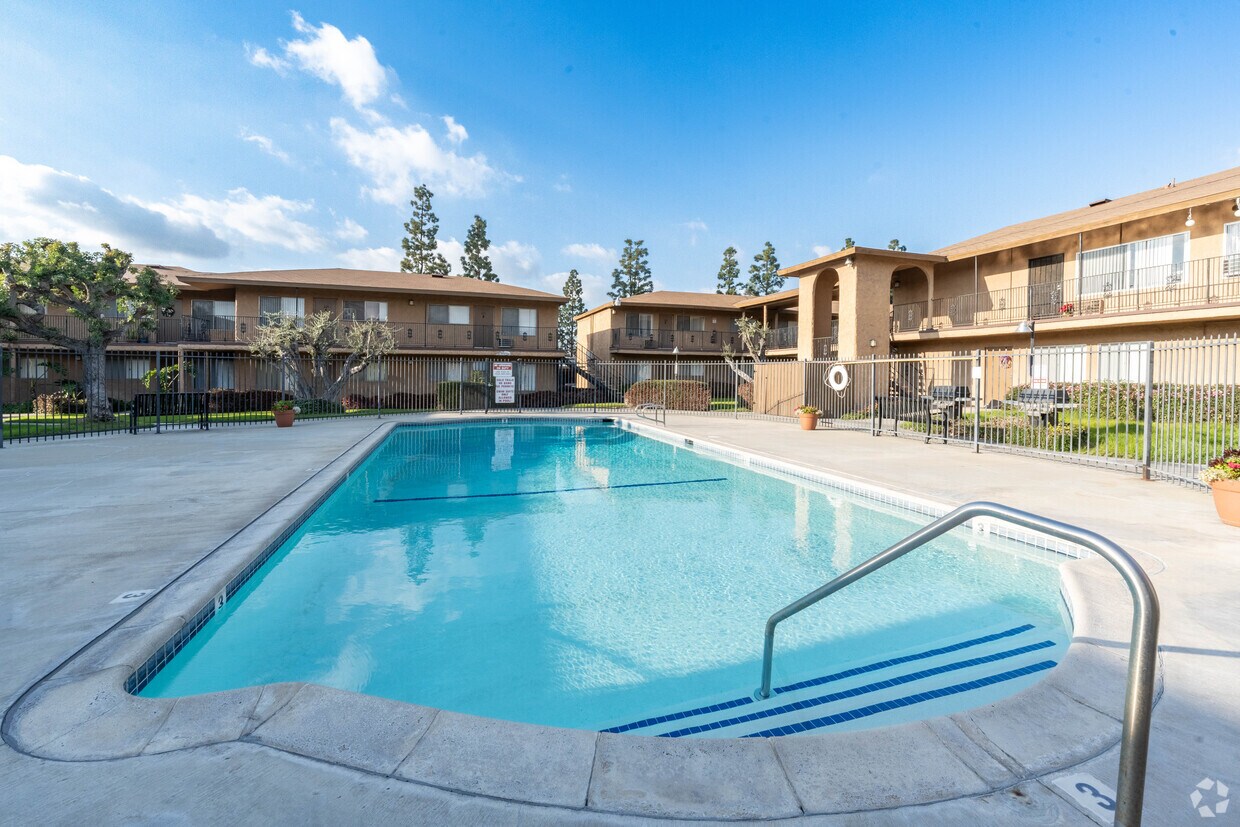 Primary Photo - Los Olivos Apartments