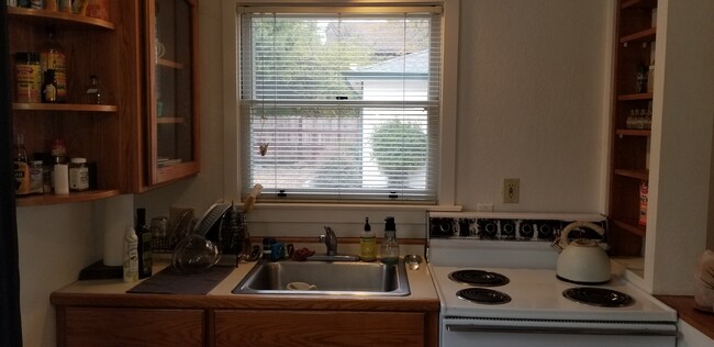 Lots of wood shelves - 409 McPeak St