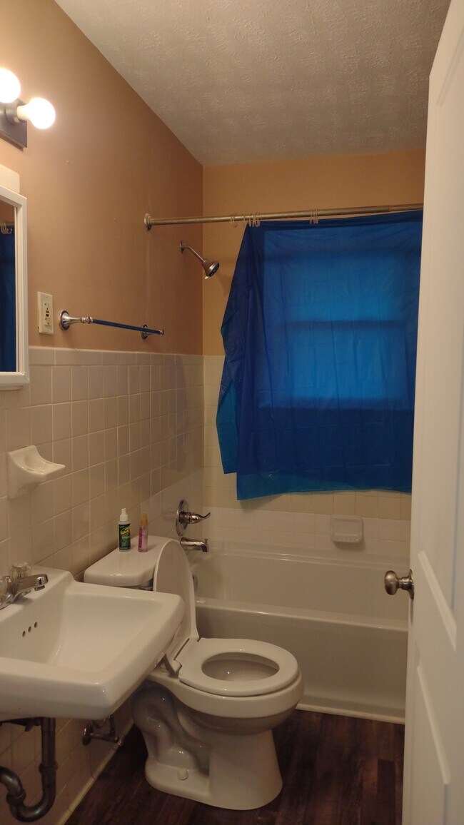 bathroom - 2501 Bolling Ave