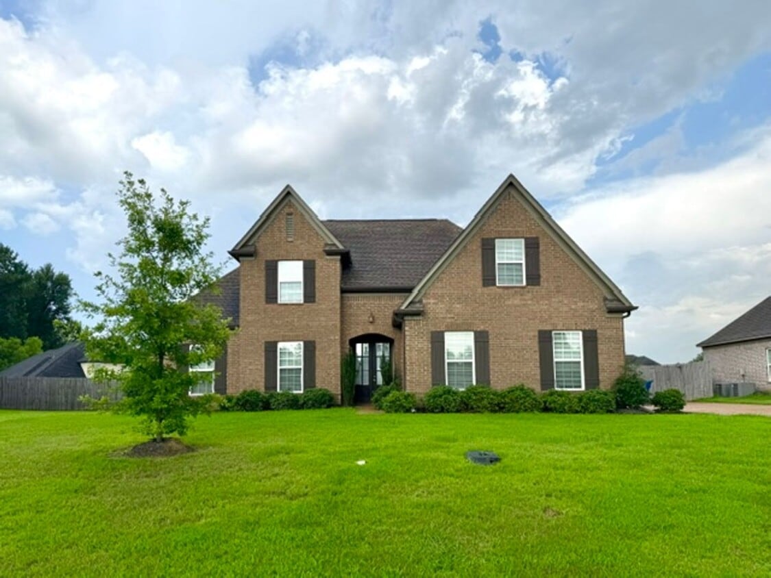 AinsleyCove8618 - AinsleyCove8618