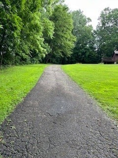 Going up the driveway to the house - 16840 Marne Rd