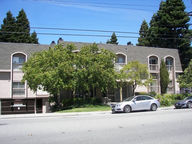 san mateo 13 45 50