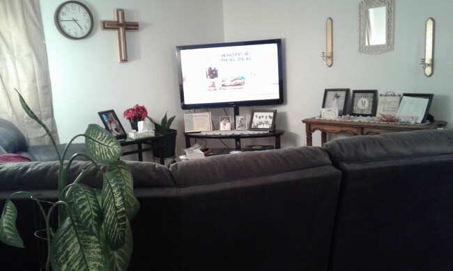 Televisor de pantalla grande - 1206 Krause Ct