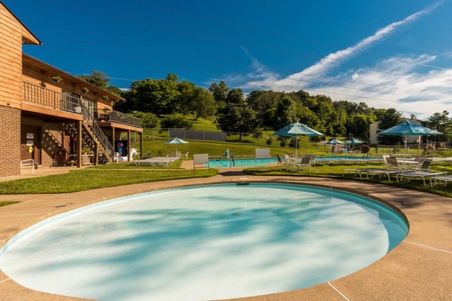 Piscina para niños - Roxalana Hills Apartments