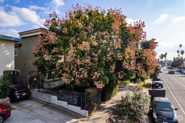 Building Photo - 1554 N Hobart Blvd